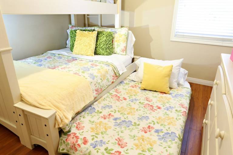 House Disneyland Park