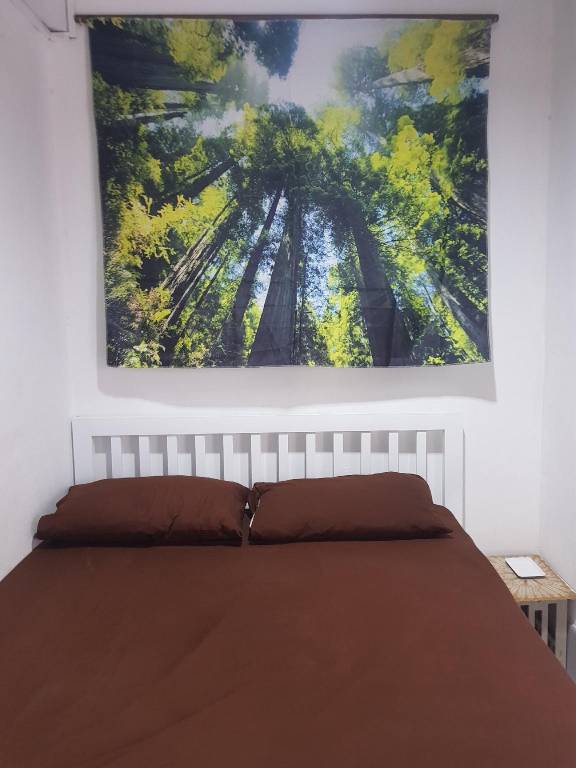 Rental apartment with yard — photo 2