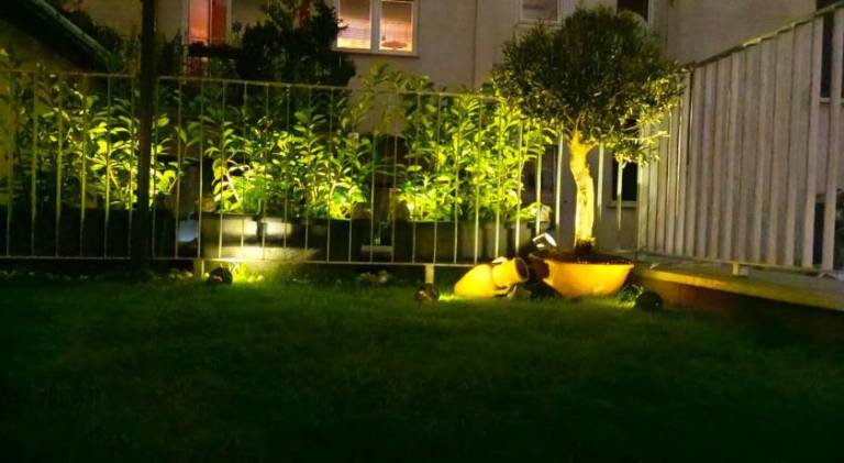 foto31