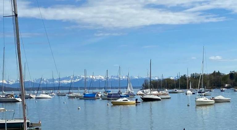 foto29