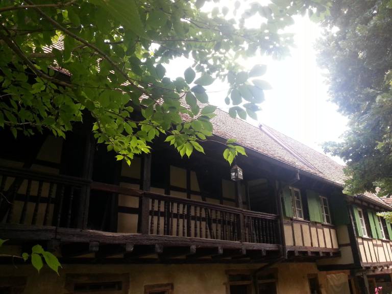 foto20