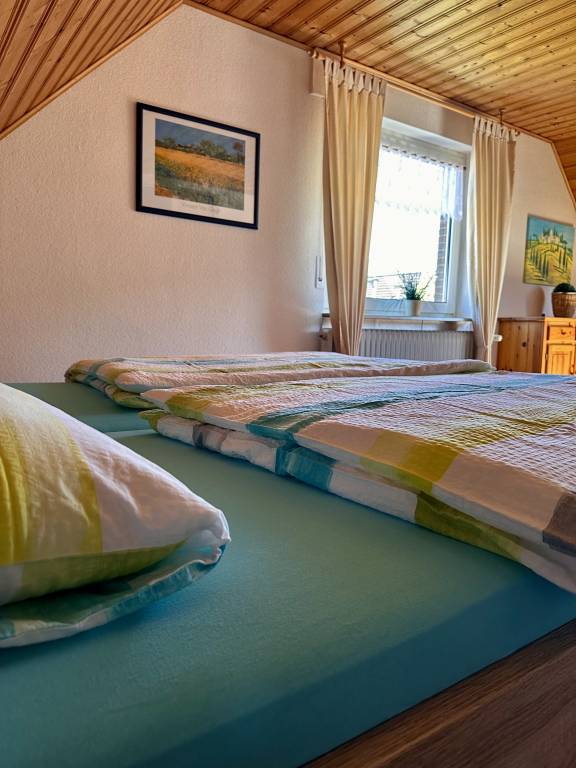 foto7
