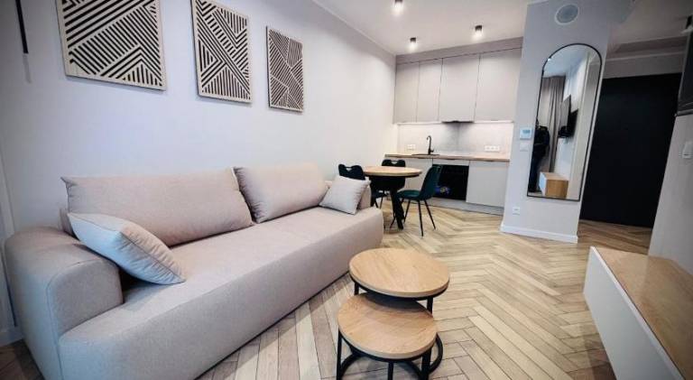 Lovely apartment | Pets allowed in Olsztyn