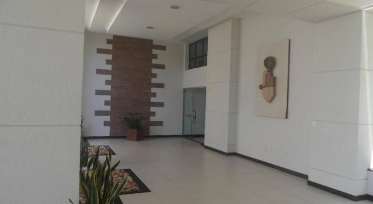 Rental apartment with pool | Close to the beach | Pets are welcome — photo 5