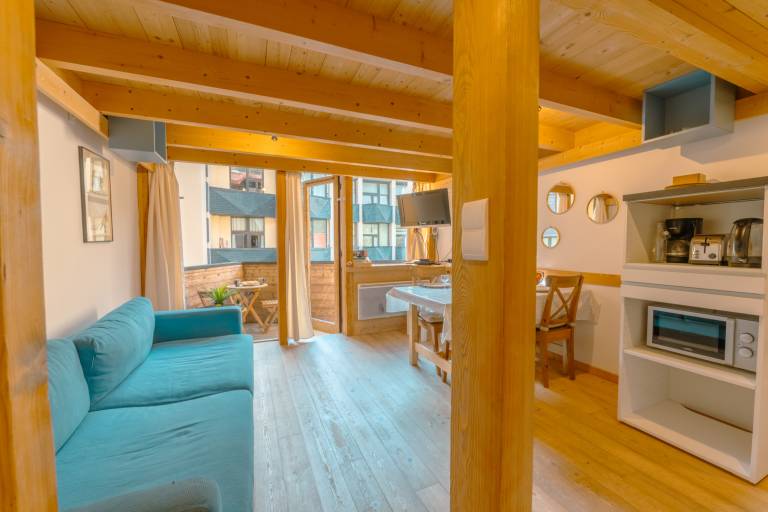 Appartement Argentière