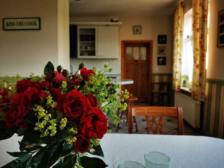 foto20