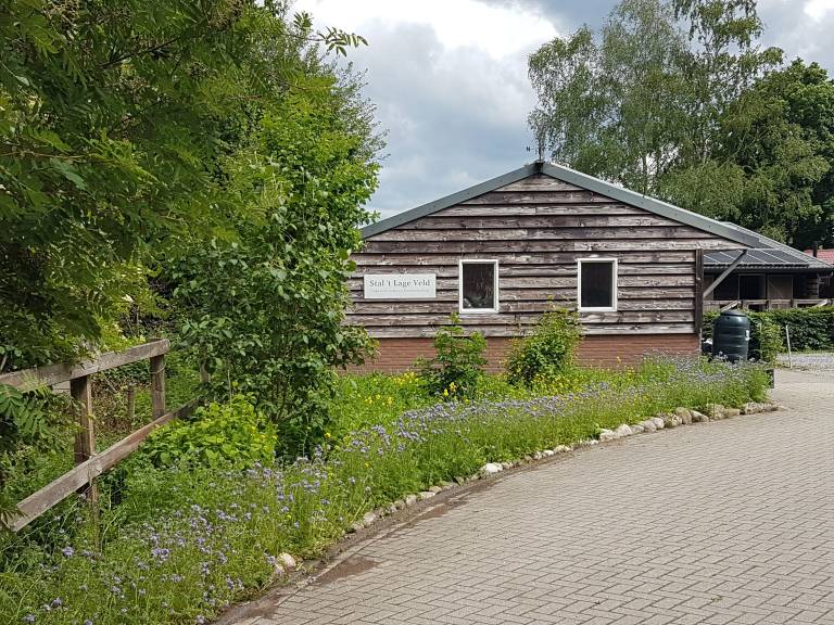 Chalet Lunteren