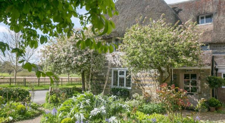 Tudor Cottage B&B Frampton