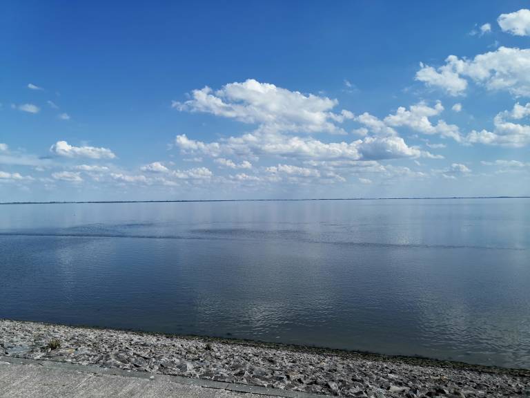 foto19