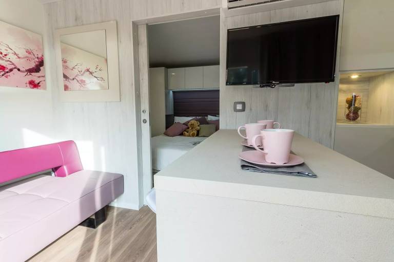 Mobile home with grill, terrace & yard — photo 3