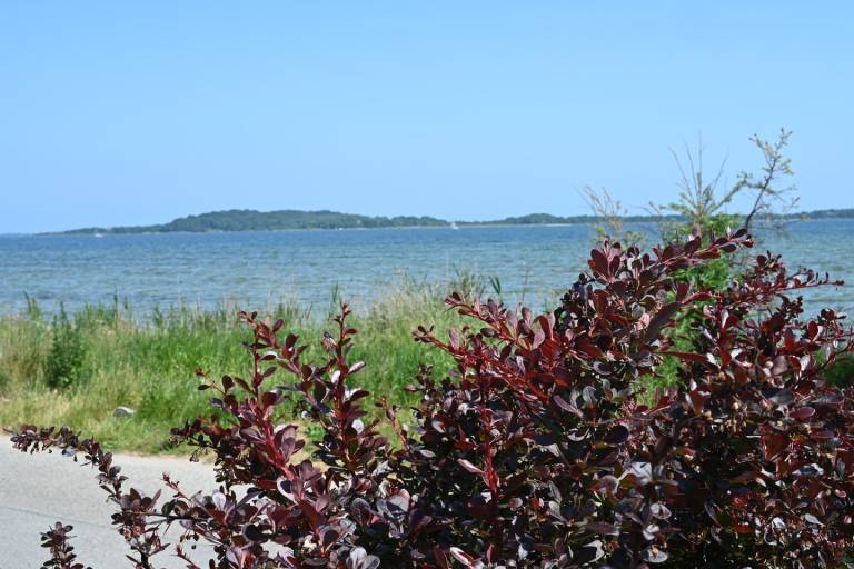 foto12
