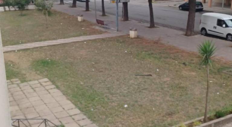 foto1