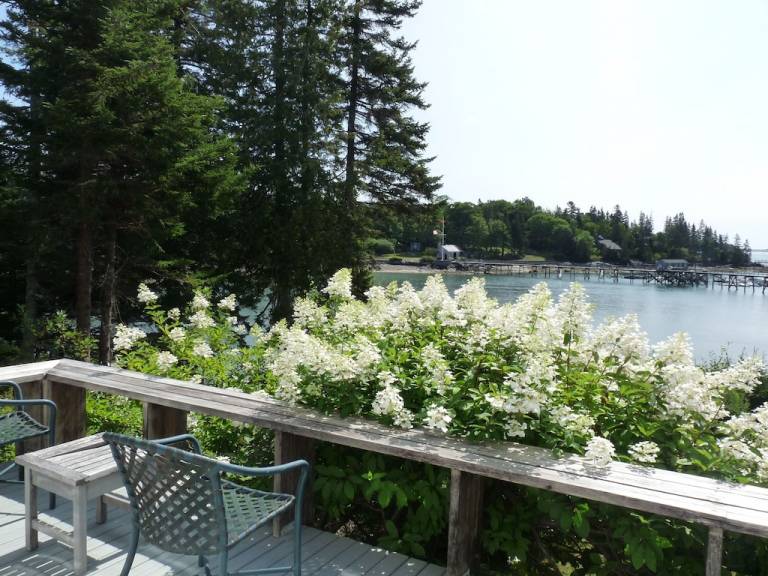 Apartment Cranberry Isles