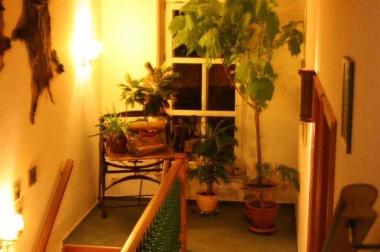 foto15
