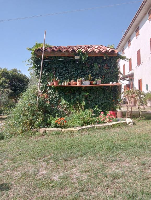 foto12