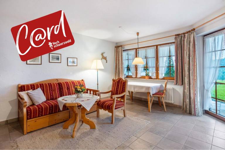 Nice rental apartment with yard & terrace | Mountain view | Close to the ski | Pet-friendly in Feldberg