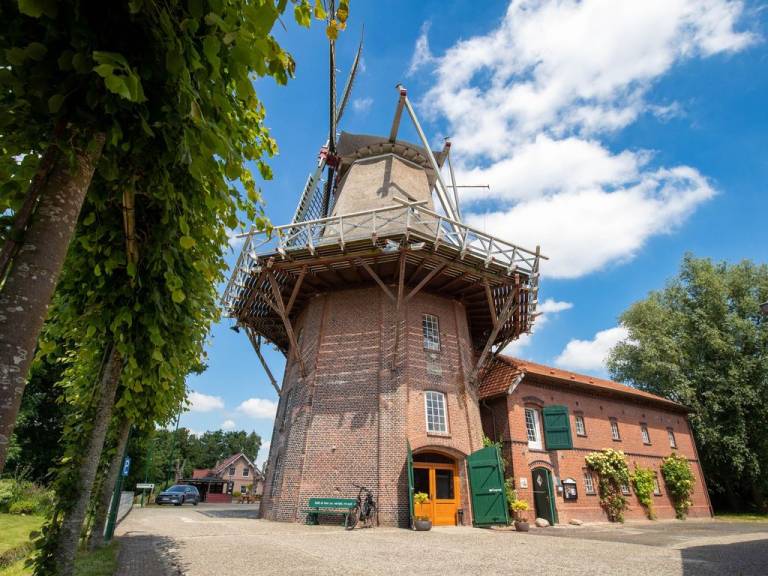 foto21