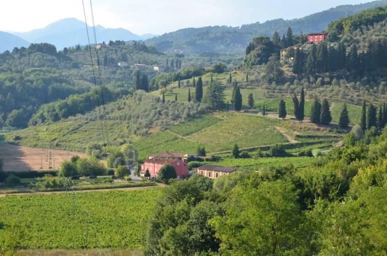 Casale Lucca