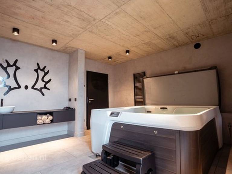 Vacation home with jacuzzi, sauna & yard — photo 3