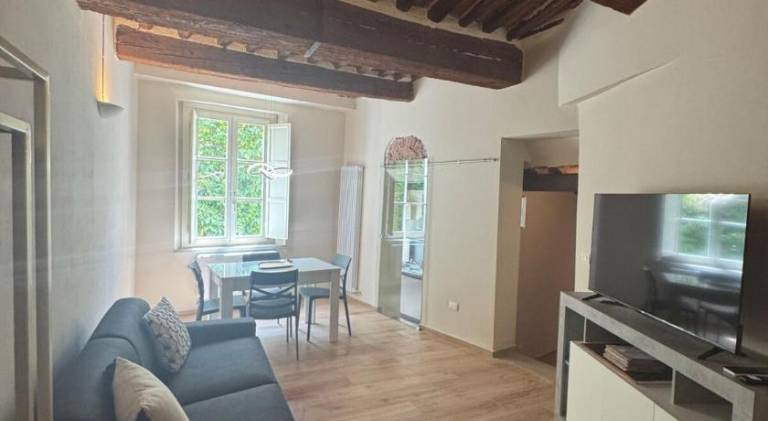 Pleasant apartment | Near Lucca Cathedral | Pets are welcome in Lucca
