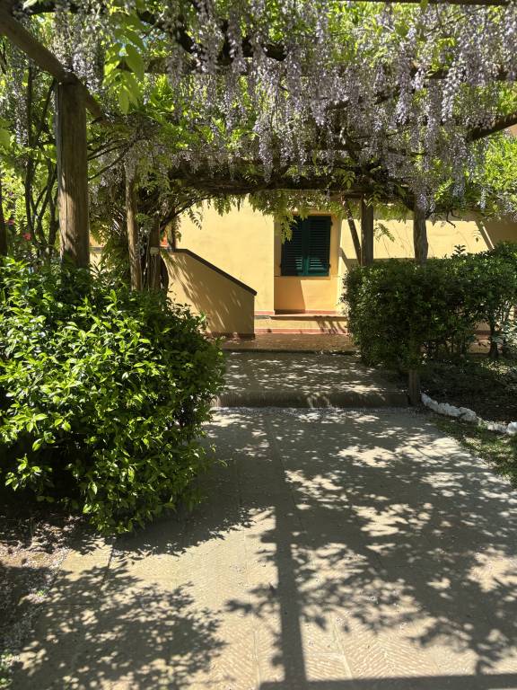 foto41