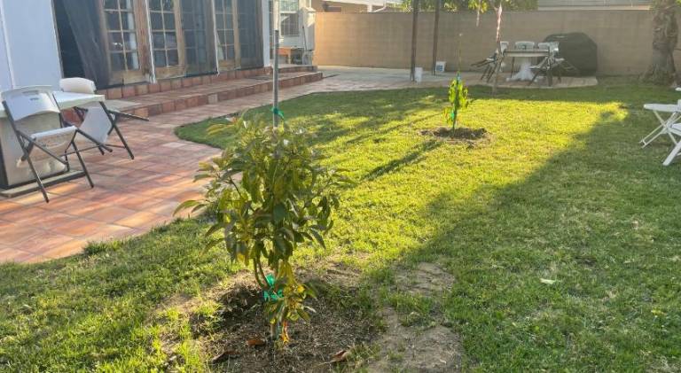 foto33