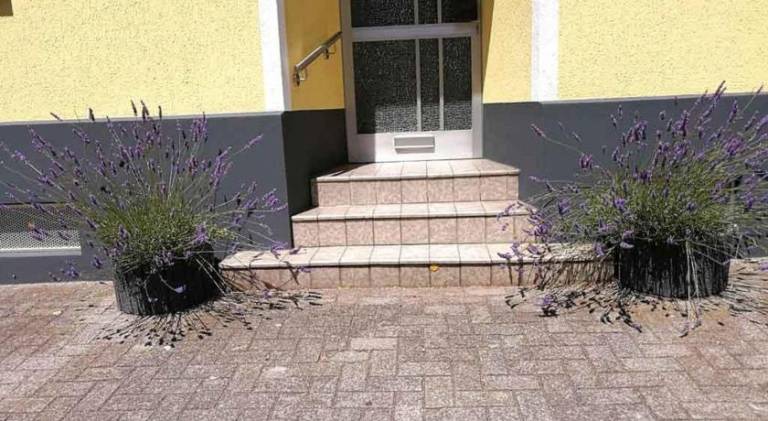 foto2
