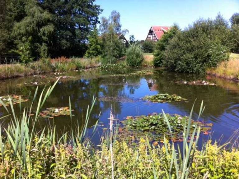 foto17