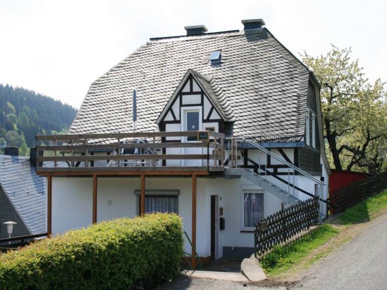 Ferienwohnung Willingen (Upland)