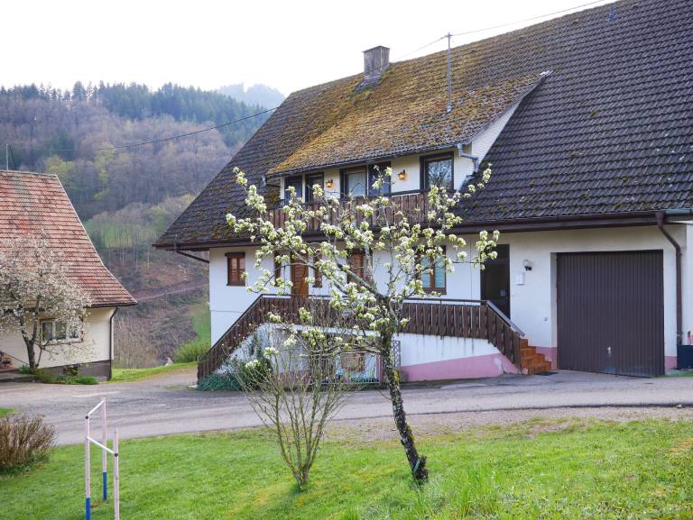 Ferienwohnung  Bad Peterstal-Griesbach