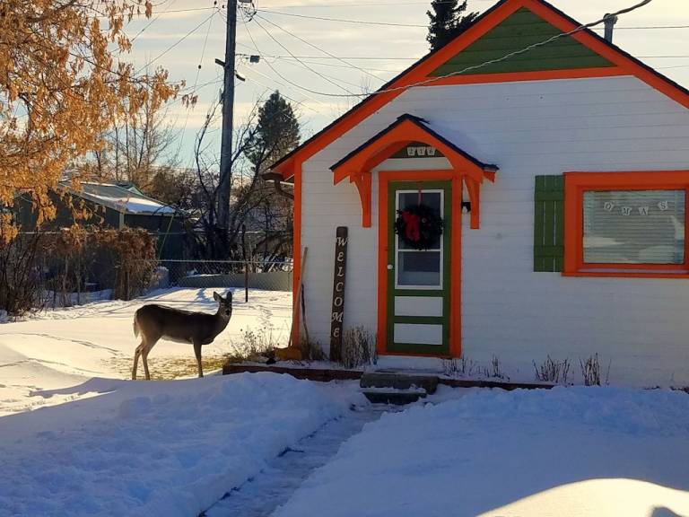 Cabin  Red Lodge