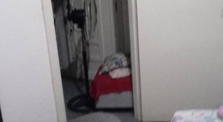 foto33