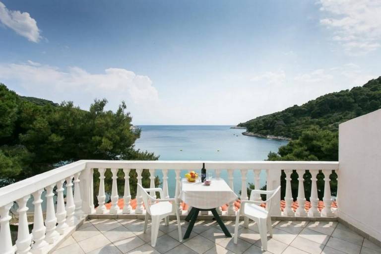 Apartma Saplunara