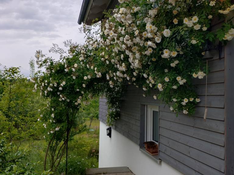 foto24