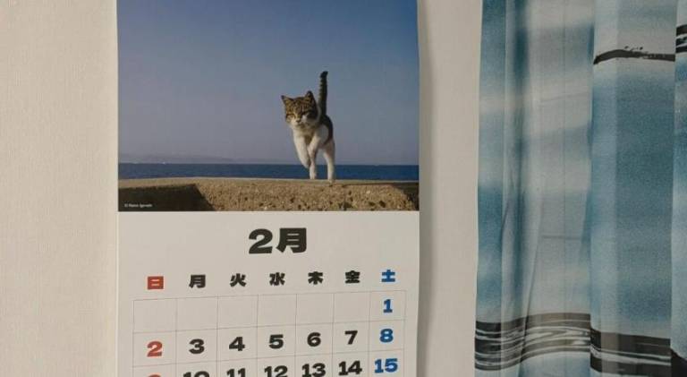 foto19