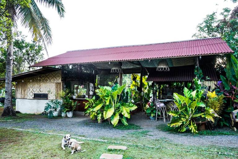 Banlaw Pool and Garden Resort — photo 5