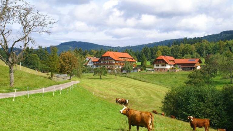 Ferienwohnung  Bad Peterstal-Griesbach