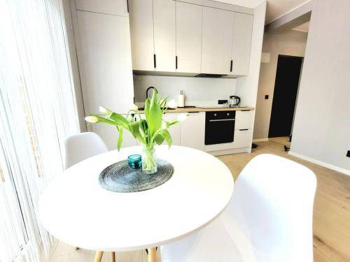 Apartament Opole