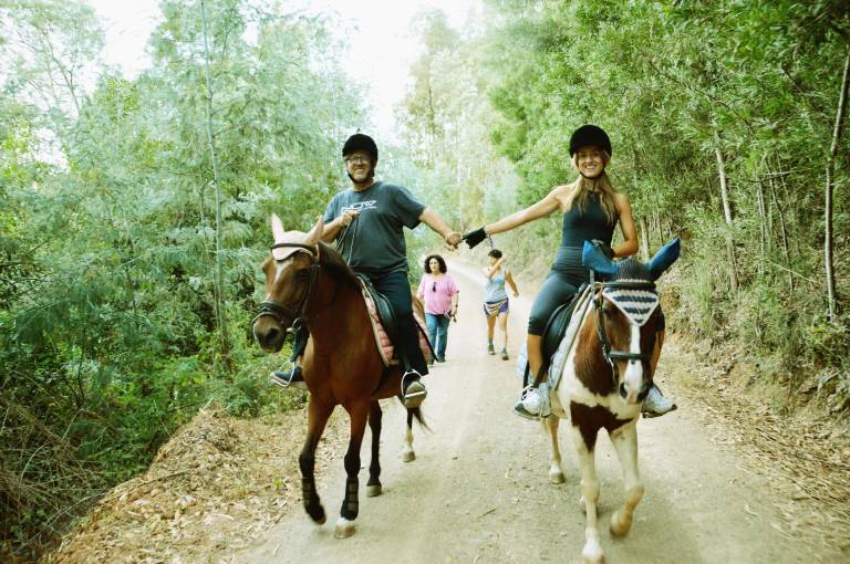 Bed and Breakfast Equitare Rural in Coimbra