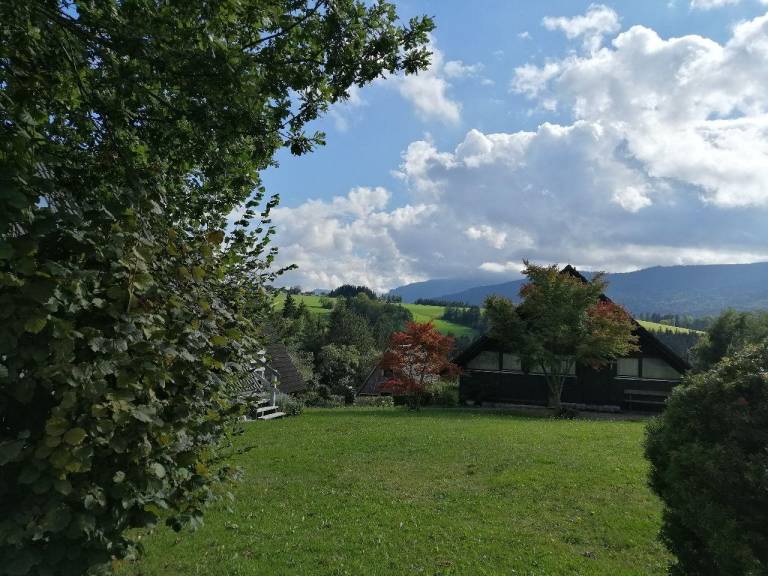 foto31