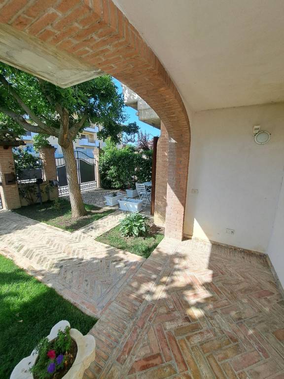 foto1