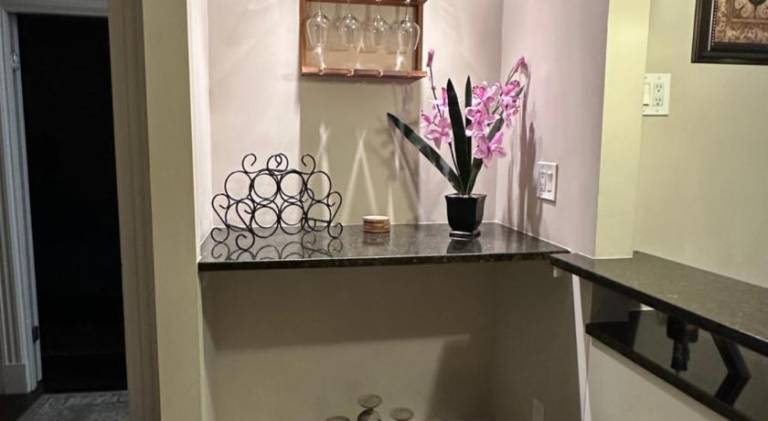 Pleasant rental apartment with jacuzzi | Dogs allowed — photo 4
