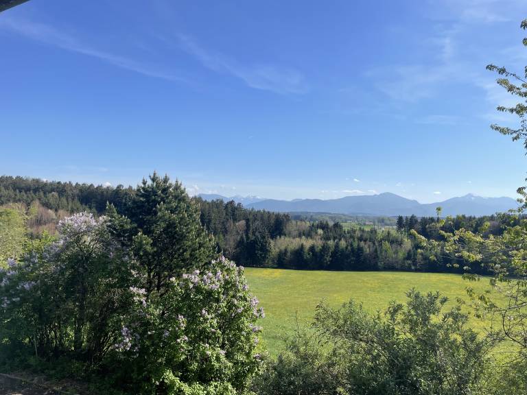 foto10