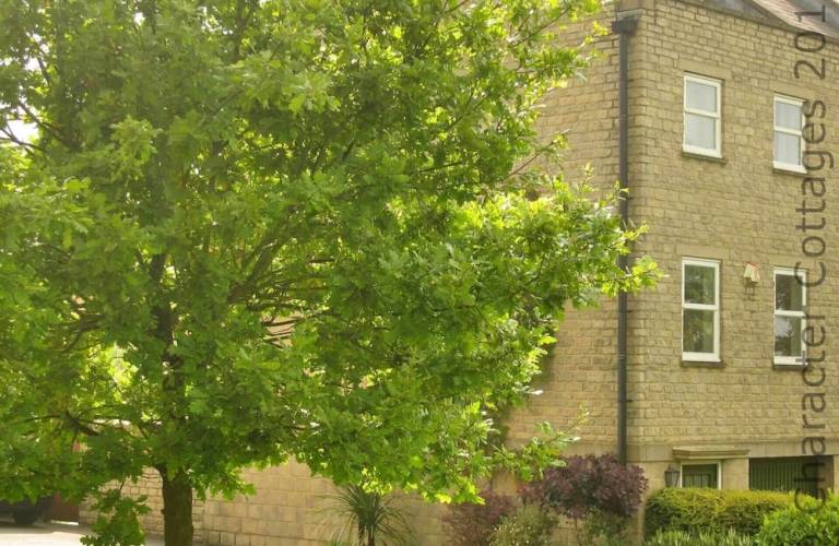 Cottage Chipping Norton