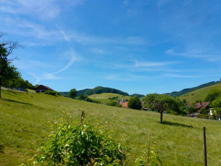 foto20