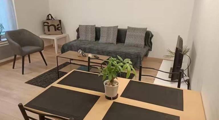 Lovely apartment | Pet-friendly in Metz