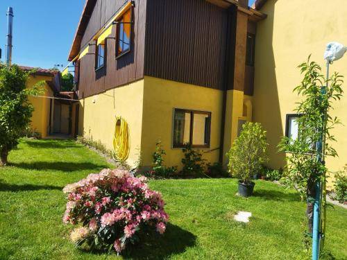 foto8