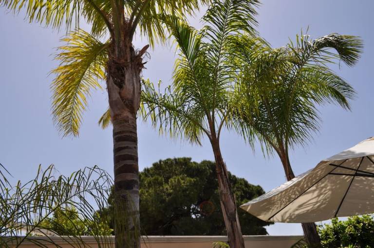 Bed & Breakfast Talsano
