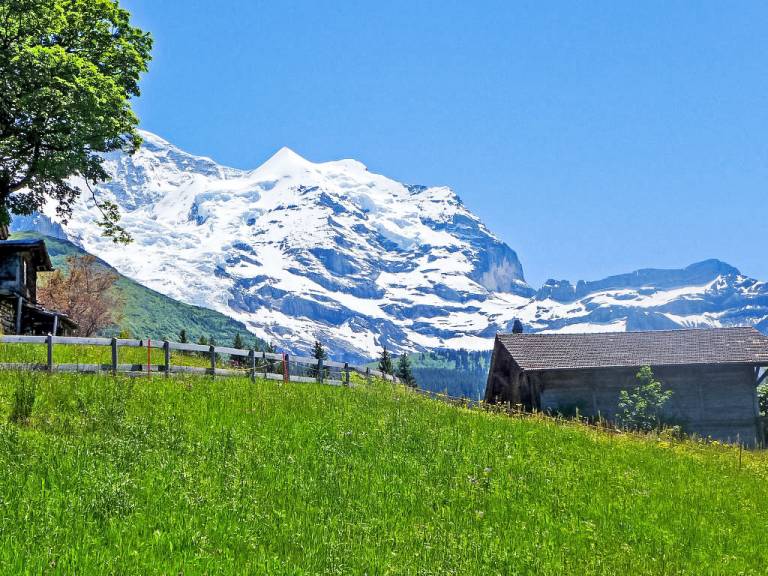 Appartement Lauterbrunnen