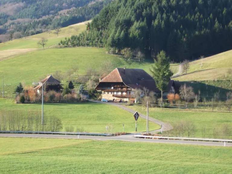 foto12